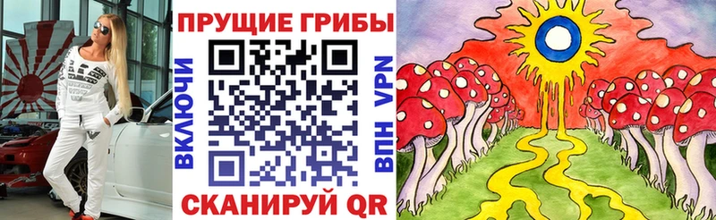 hydra как зайти  Хвалынск  Псилоцибиновые грибы MAGIC MUSHROOMS 